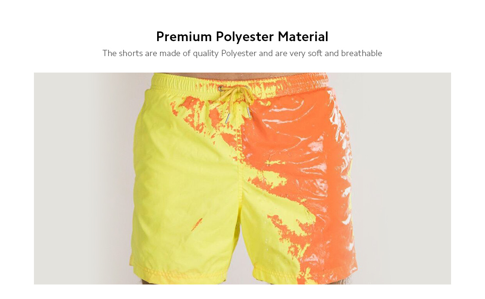 Summer In A Water Temperature Color Color Beach Pants Men's Quick Surf Swim Pants Shorts - Green M